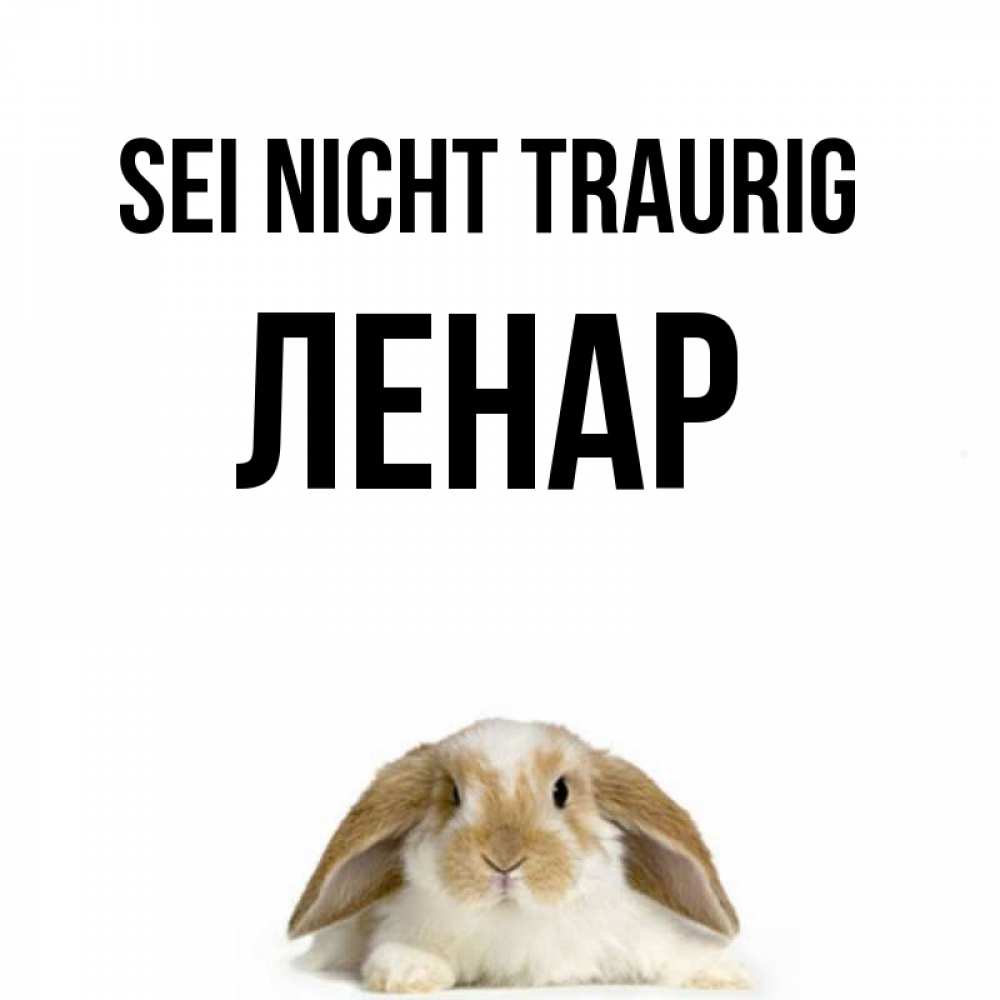 Открытка на каждый день с именем, Ленар Sei nicht traurig коричнево белый заяц с большими ушками Прикольная открытка с пожеланием онлайн скачать бесплатно 