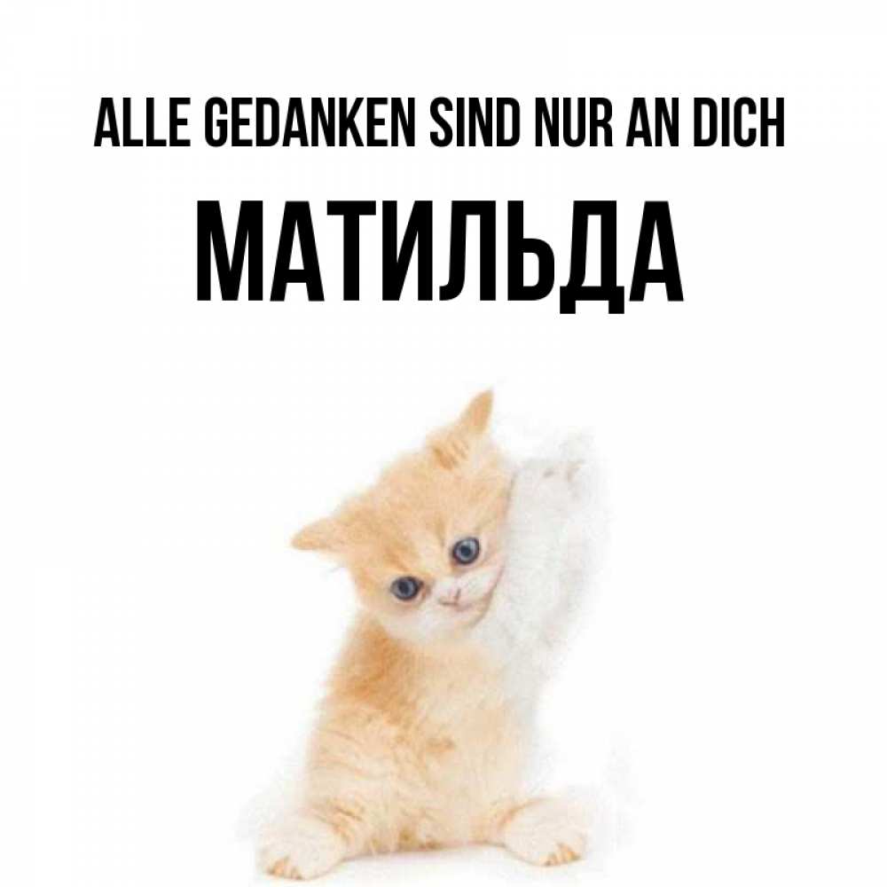 Открытка на каждый день с именем, Матильда Alle Gedanken sind nur an dich зверушки и милота Прикольная открытка с пожеланием онлайн скачать бесплатно 