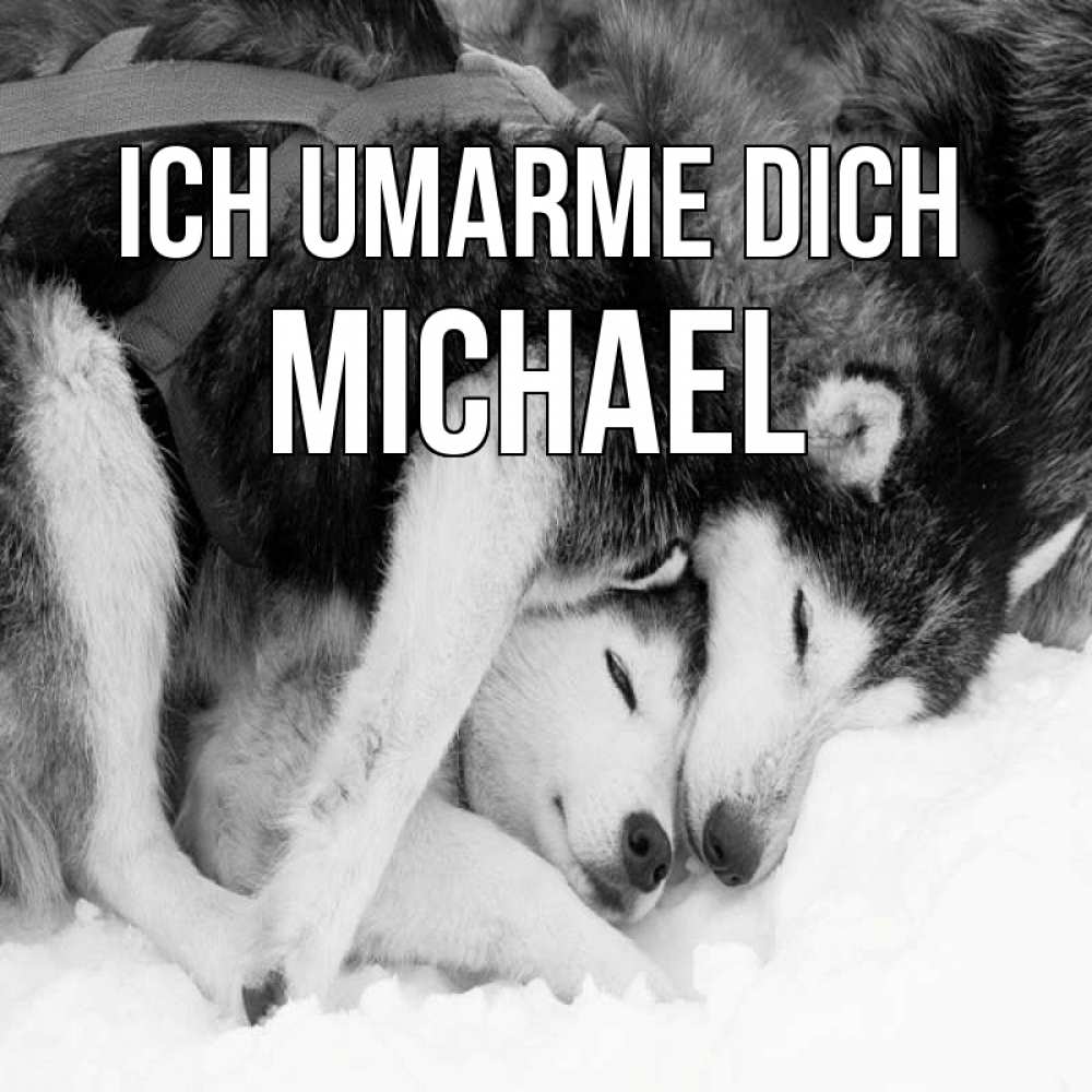 Открытка на каждый день с именем, Michael Ich umarme dich собачки в упряжке Прикольная открытка с пожеланием онлайн скачать бесплатно 