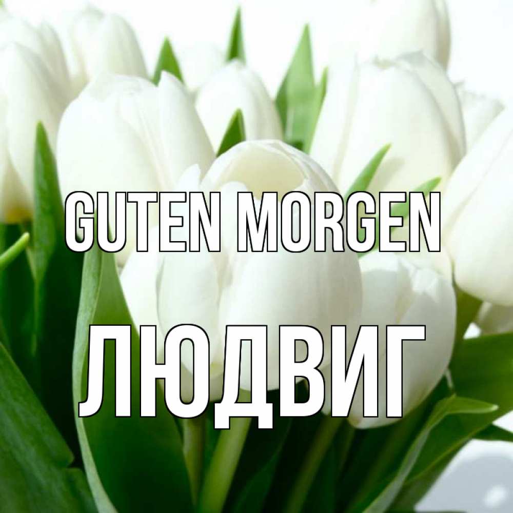 Открытка на каждый день с именем, Людвиг Guten Morgen открытки на каждый день по именам Прикольная открытка с пожеланием онлайн скачать бесплатно 