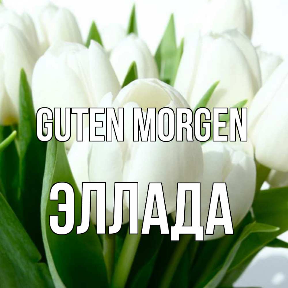 Открытка на каждый день с именем, Эллада Guten Morgen открытки на каждый день по именам Прикольная открытка с пожеланием онлайн скачать бесплатно 
