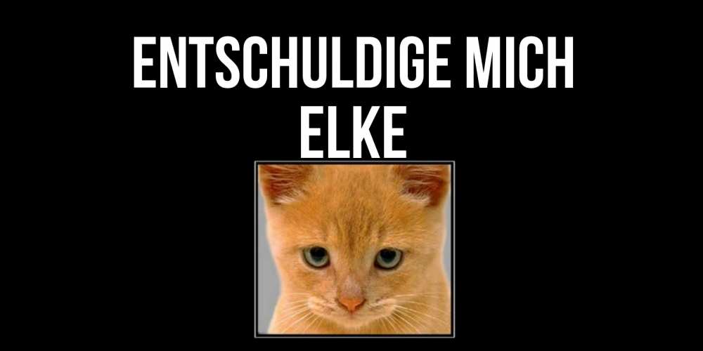 Открытка на каждый день с именем, Elke Entschuldige mich рыжий грустный кот просит прощения Прикольная открытка с пожеланием онлайн скачать бесплатно 