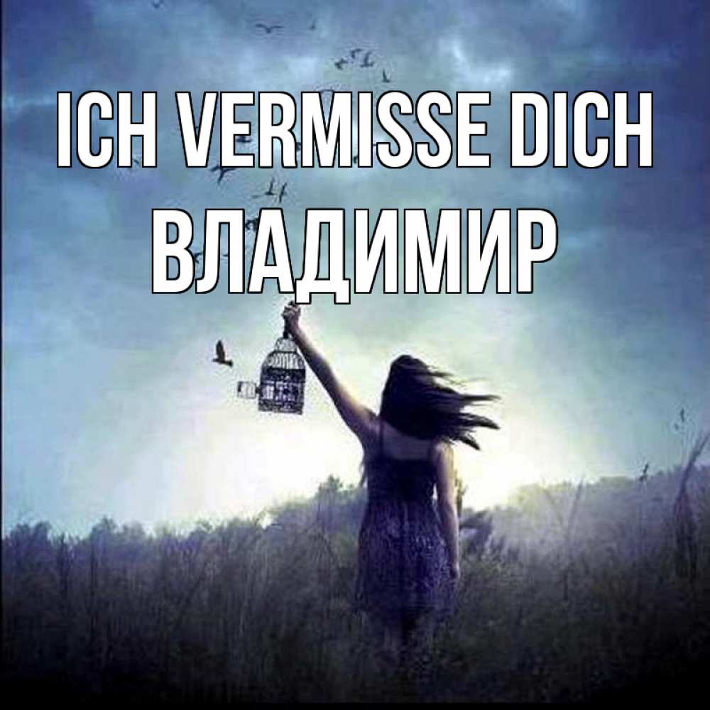 Открытка на каждый день с именем, Владимир Ich vermisse dich приходи ко мне Прикольная открытка с пожеланием онлайн скачать бесплатно 