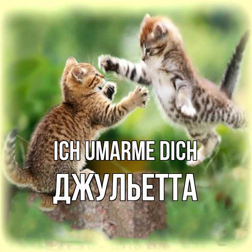Открытка на каждый день с именем, Джульетта Ich umarme dich игры котят Прикольная открытка с пожеланием онлайн скачать бесплатно 