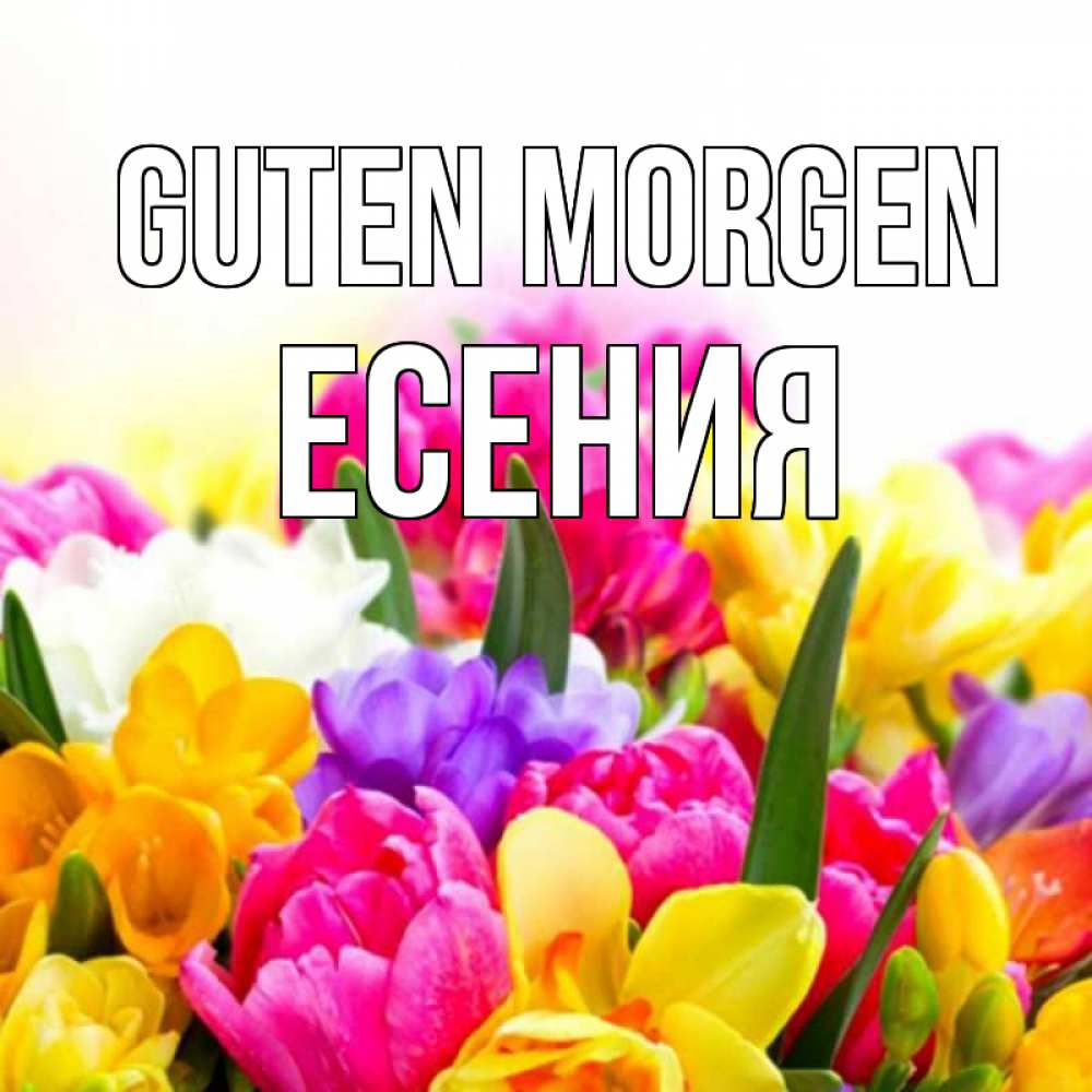 Открытка на каждый день с именем, Есения Guten Morgen создать открытку со свое подписью Прикольная открытка с пожеланием онлайн скачать бесплатно 