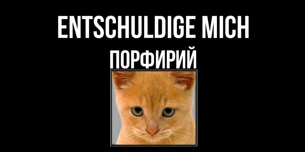 Открытка на каждый день с именем, Порфирий Entschuldige mich рыжий грустный кот просит прощения Прикольная открытка с пожеланием онлайн скачать бесплатно 
