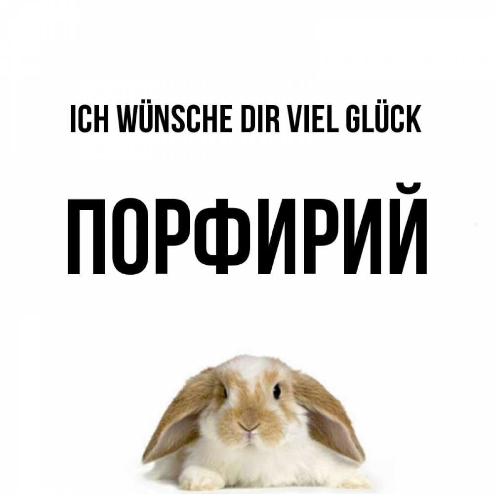 Открытка на каждый день с именем, Порфирий Ich wünsche dir viel Glück открытки с произвольным текстом который можно вставить в открытку и создать ее самостоятельно бесплатно онлайн Прикольная открытка с пожеланием онлайн скачать бесплатно 
