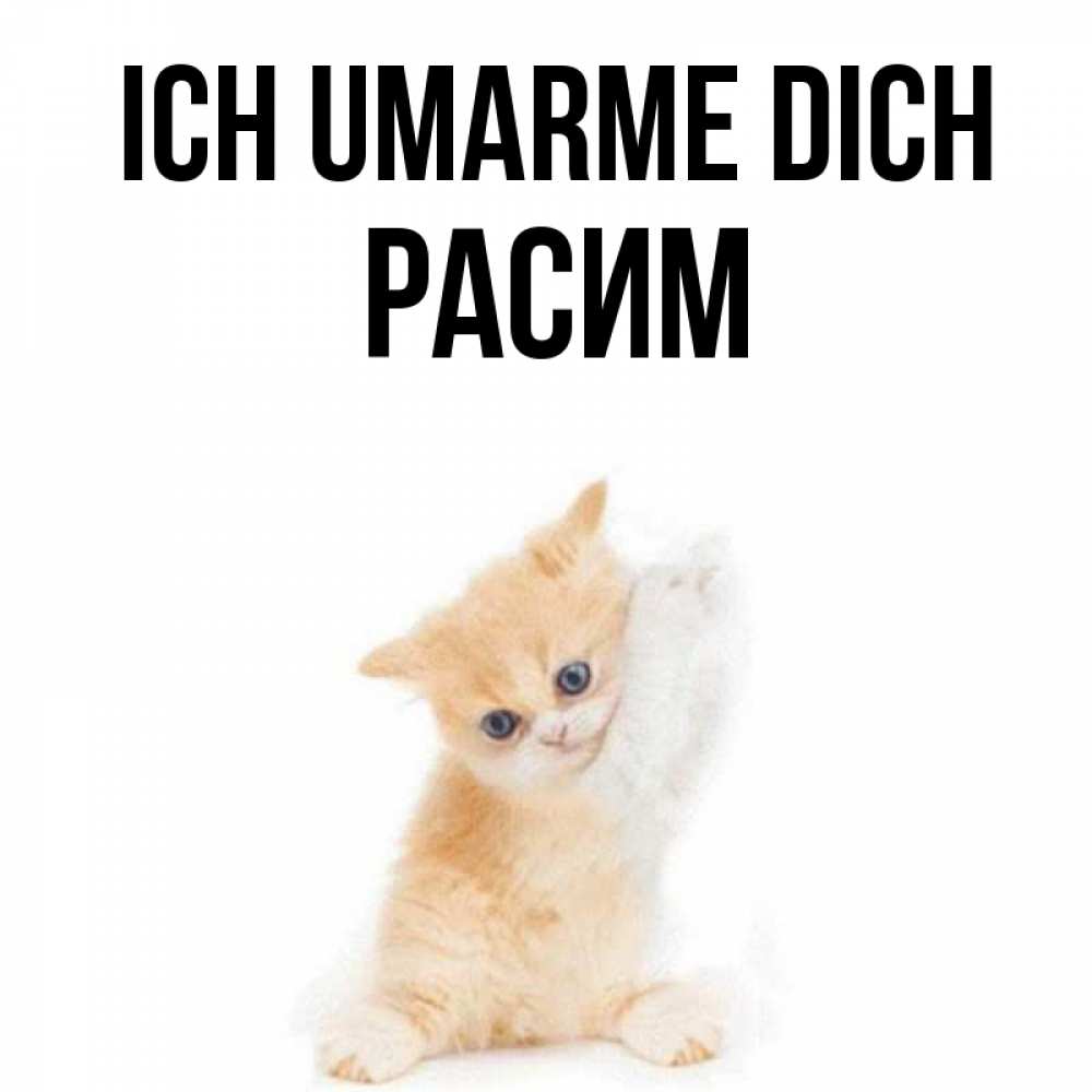 Открытка на каждый день с именем, Расим Ich umarme dich я хочу очень скорее обнимаешек Прикольная открытка с пожеланием онлайн скачать бесплатно 