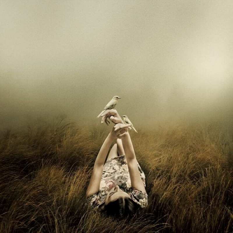 Открытка туман  девушка с голубями  Ich vermisse dich 