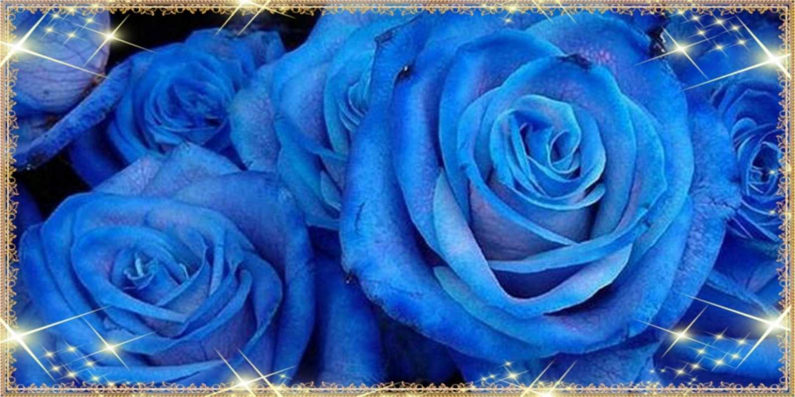 Открытка красивые синие розы на международный женский день для дорогой как поздравить женщину на 8 марта. Конечно же нужно подарить ей открытку с нашего сайта Am 8. März 