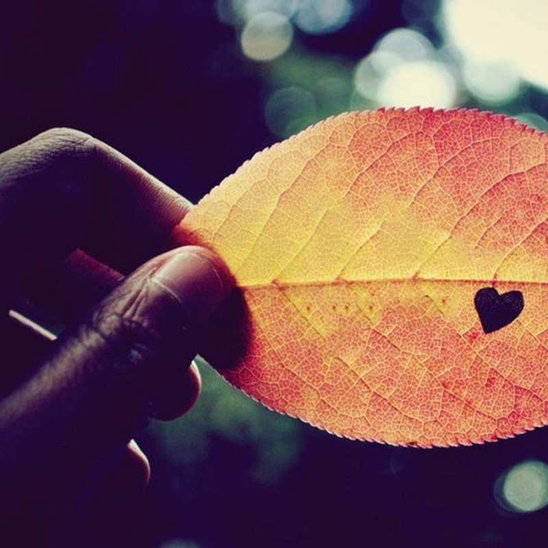 Открытка листик с сердцем  держу лист  Ich liebe dich 