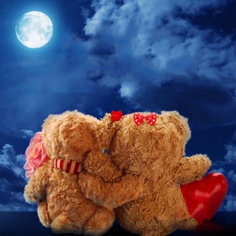 Открытка медведи смотрят на луну  плюшевые  Gute Nacht 
