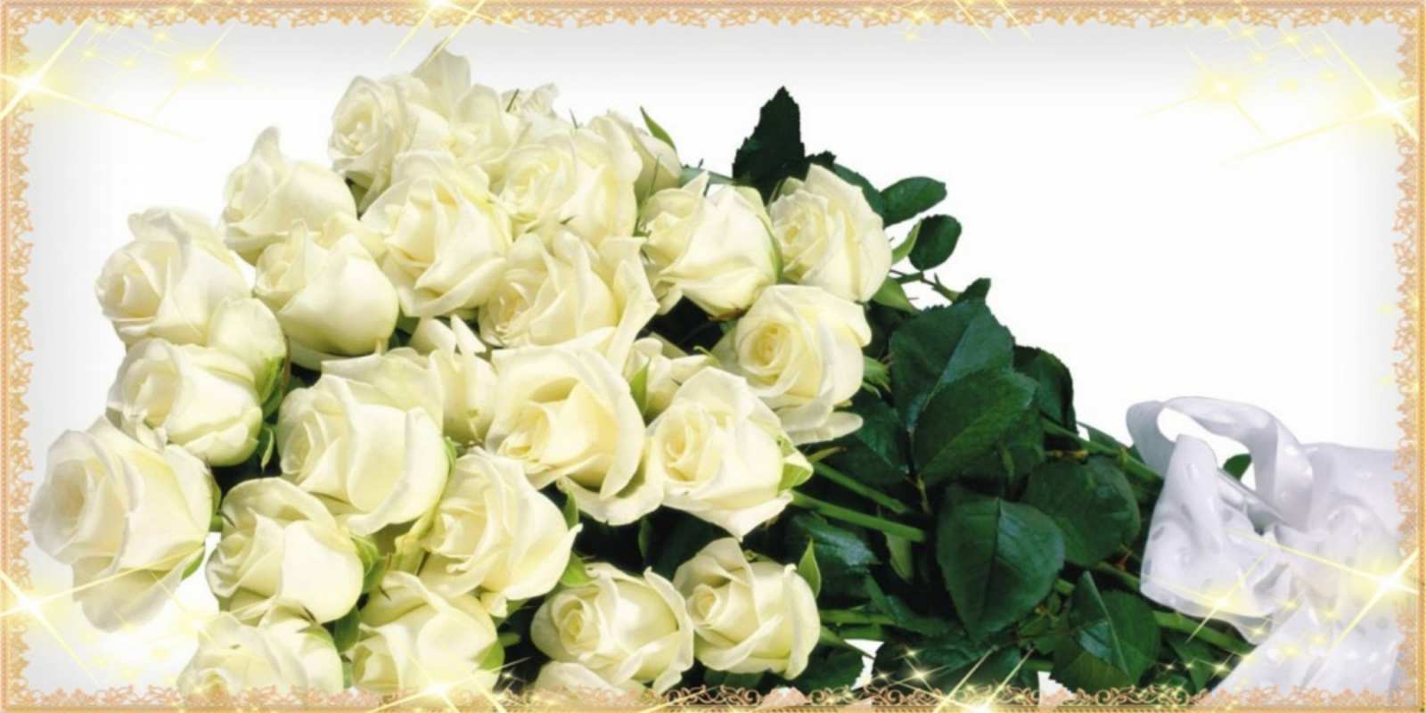 Открытка много кремовых роз на открытке букет с розами желтокремового цвета для любимой на международный женский день Am 8. März 