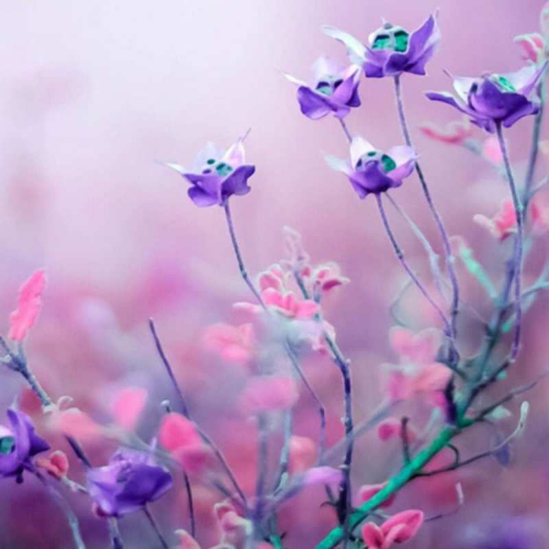 Открытка полевые цветы 2 международный женский день 2 Am 8. März 