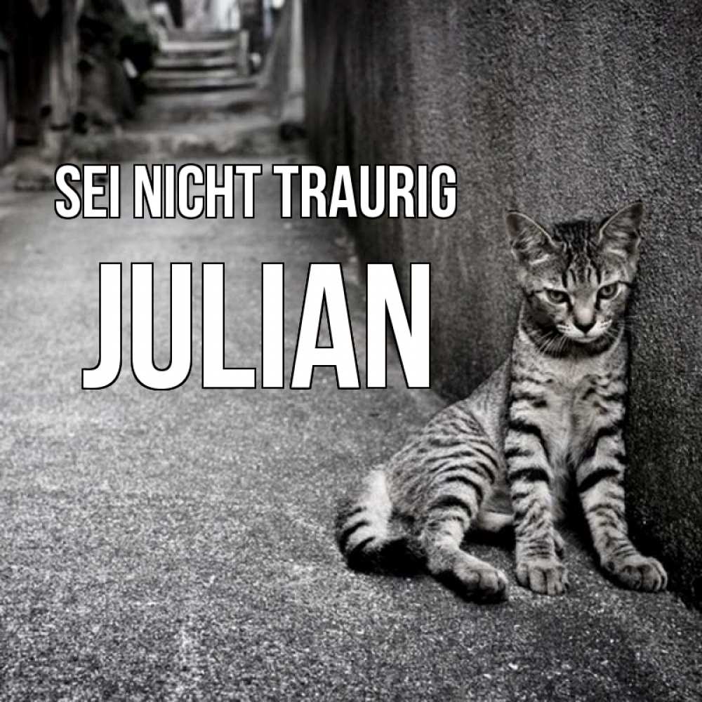 Открытка на каждый день с именем, Julian Sei nicht traurig скучающий котик Прикольная открытка с пожеланием онлайн скачать бесплатно 
