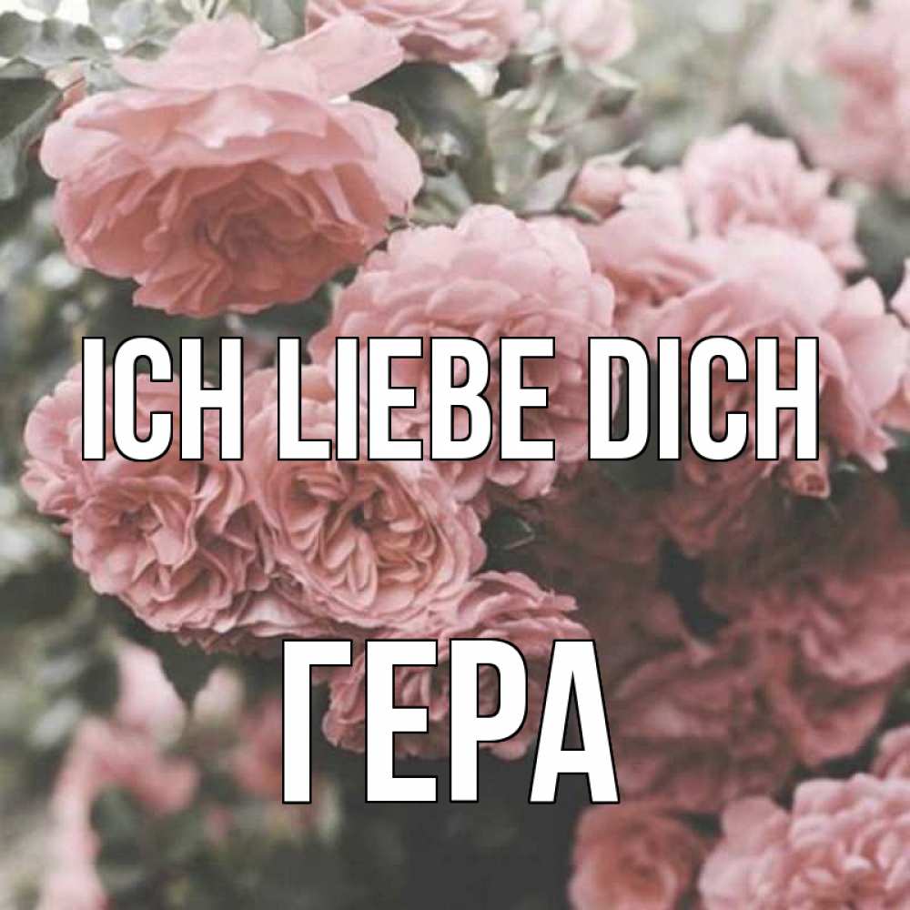 Открытка на каждый день с именем, Гера Ich liebe dich розы 3 Прикольная открытка с пожеланием онлайн скачать бесплатно 