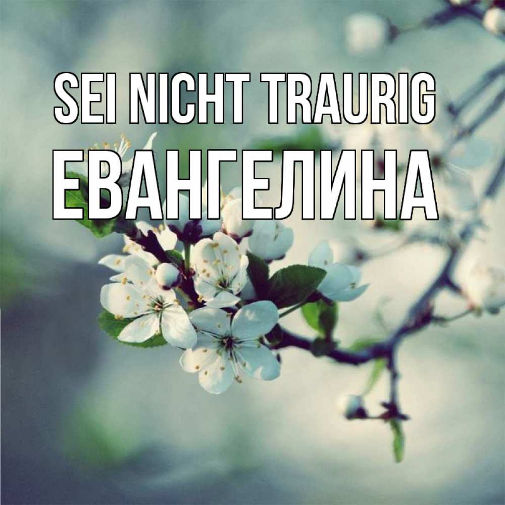 Открытка на каждый день с именем, Евангелина Sei nicht traurig яблоня в цвету 1 Прикольная открытка с пожеланием онлайн скачать бесплатно 