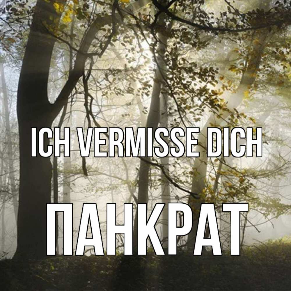 Открытка на каждый день с именем, Панкрат Ich vermisse dich грустно Прикольная открытка с пожеланием онлайн скачать бесплатно 