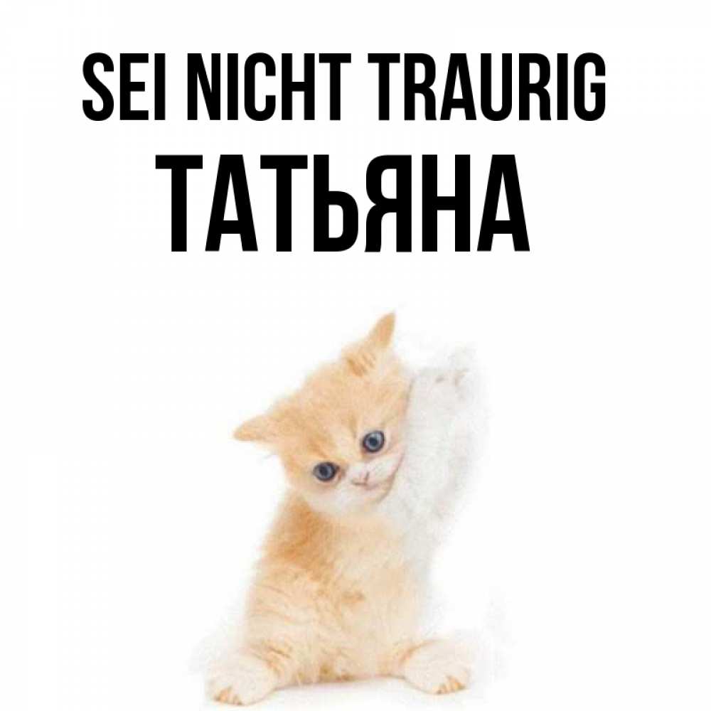 Открытка на каждый день с именем, Татьяна Sei nicht traurig просящий кот Прикольная открытка с пожеланием онлайн скачать бесплатно 