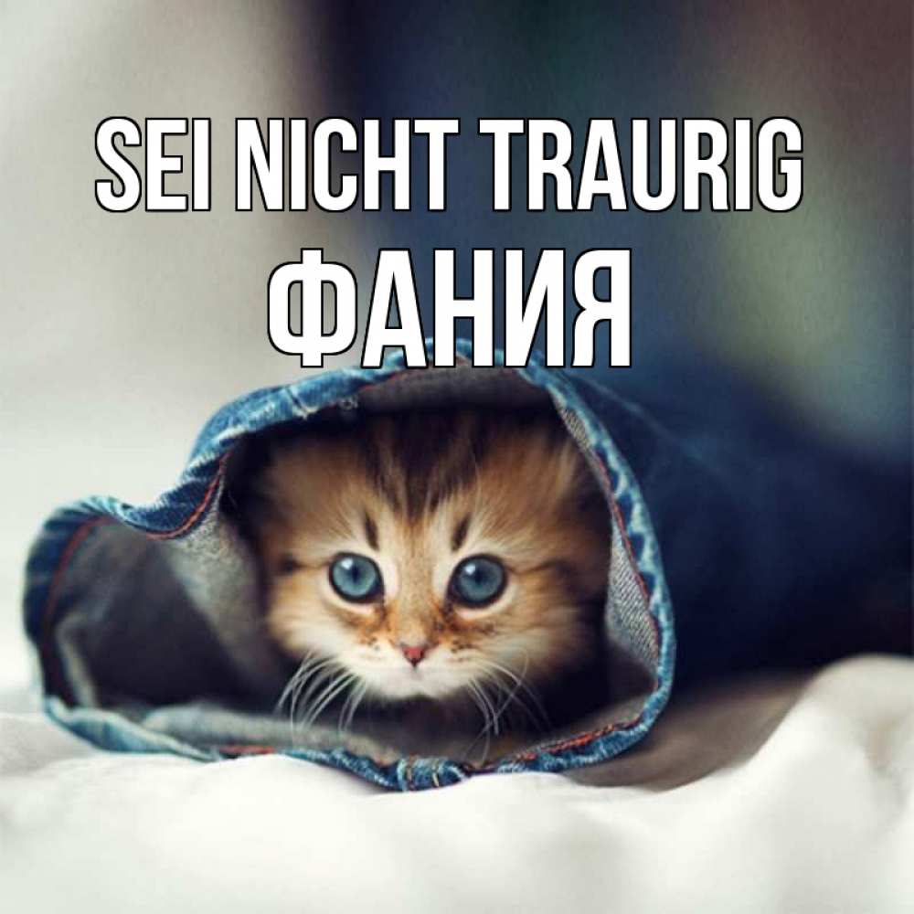 Открытка на каждый день с именем, Фания Sei nicht traurig кот в одежде Прикольная открытка с пожеланием онлайн скачать бесплатно 