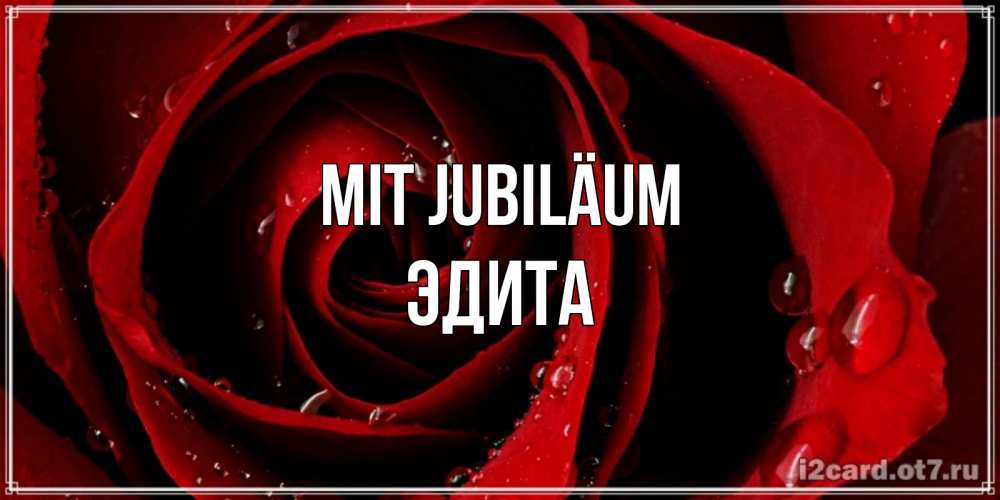 Открытка на каждый день с именем, Эдита Mit Jubiläum крупная бордовая роза Прикольная открытка с пожеланием онлайн скачать бесплатно 