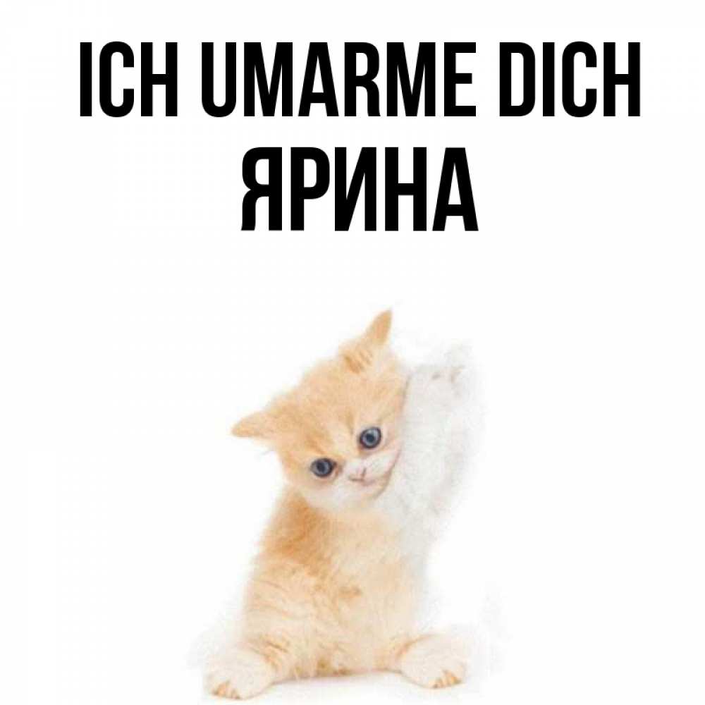 Открытка на каждый день с именем, Ярина Ich umarme dich я хочу очень скорее обнимаешек Прикольная открытка с пожеланием онлайн скачать бесплатно 