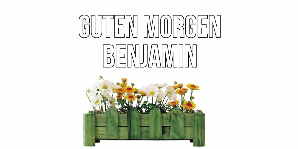 Открытка на каждый день с именем, Benjamin Guten Morgen цветы Прикольная открытка с пожеланием онлайн скачать бесплатно 