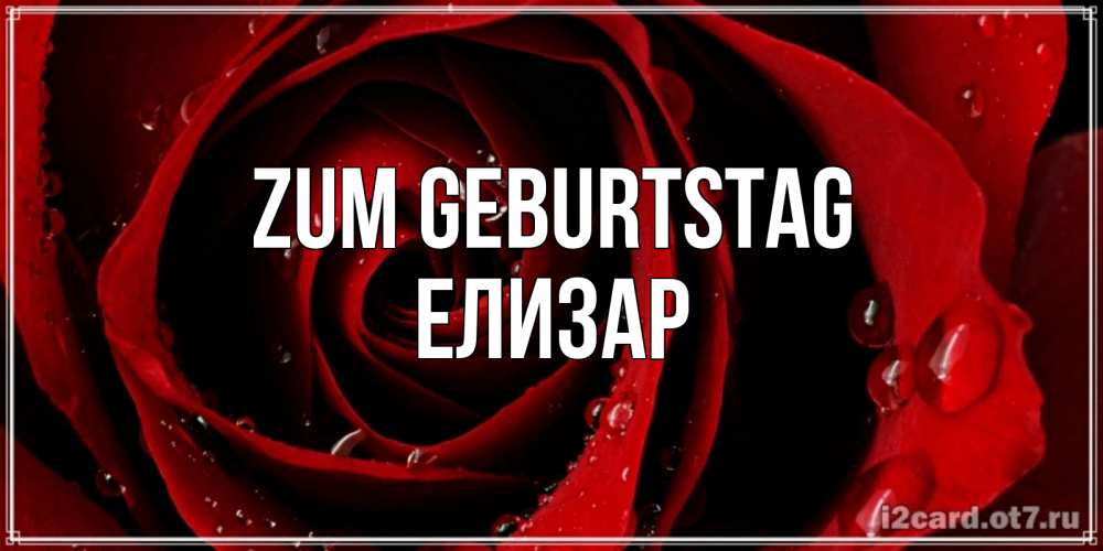 Открытка на каждый день с именем, Елизар Zum Geburtstag крупная бордовая роза Прикольная открытка с пожеланием онлайн скачать бесплатно 