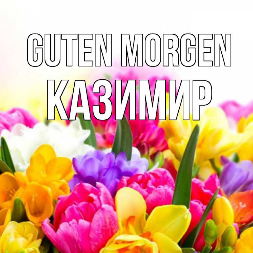 Открытка на каждый день с именем, Казимир Guten Morgen создать открытку со свое подписью Прикольная открытка с пожеланием онлайн скачать бесплатно 