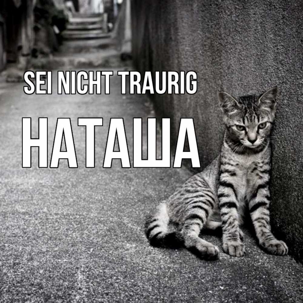 Открытка на каждый день с именем, Наташа Sei nicht traurig скучающий котик Прикольная открытка с пожеланием онлайн скачать бесплатно 