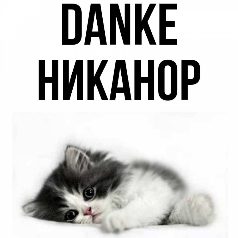 Открытка на каждый день с именем, Никанор Danke черный и белый кот Прикольная открытка с пожеланием онлайн скачать бесплатно 