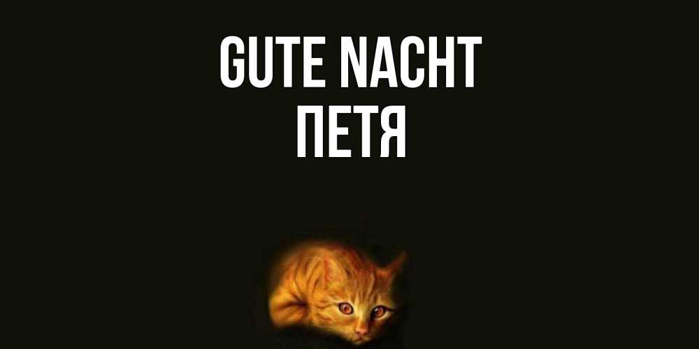 Открытка на каждый день с именем, Петя Gute Nacht кот Прикольная открытка с пожеланием онлайн скачать бесплатно 