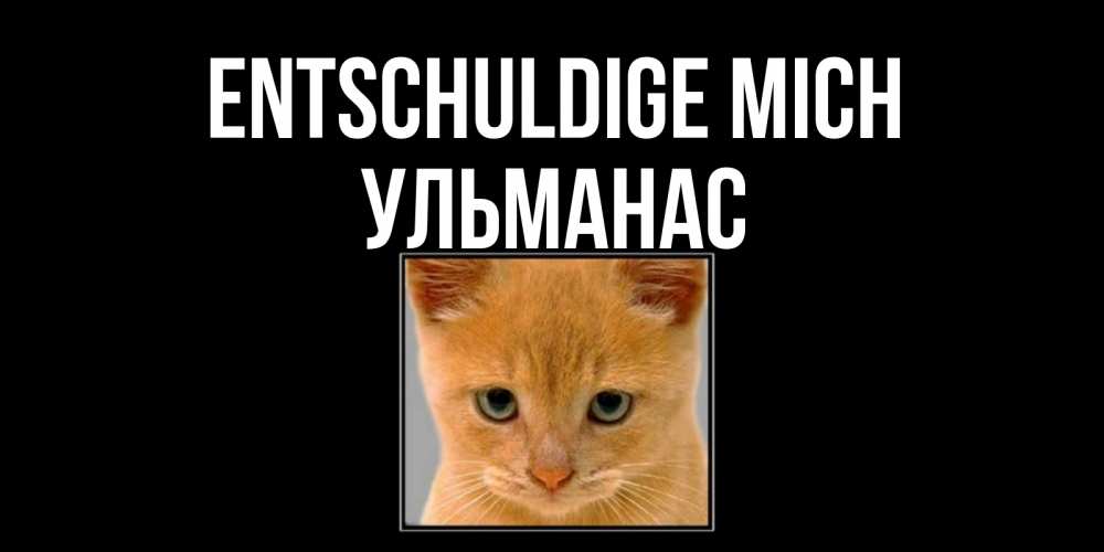 Открытка на каждый день с именем, Ульманас Entschuldige mich рыжий грустный кот просит прощения Прикольная открытка с пожеланием онлайн скачать бесплатно 