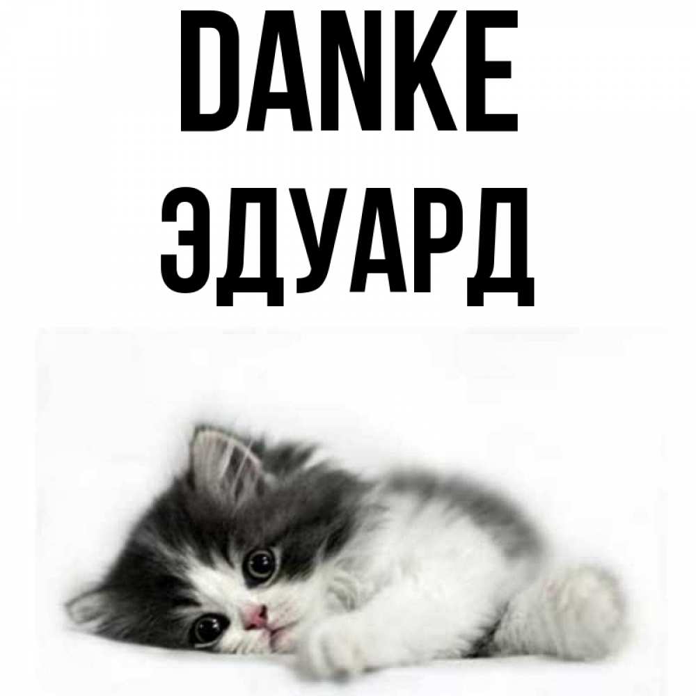 Открытка на каждый день с именем, Эдуард Danke черный и белый кот Прикольная открытка с пожеланием онлайн скачать бесплатно 