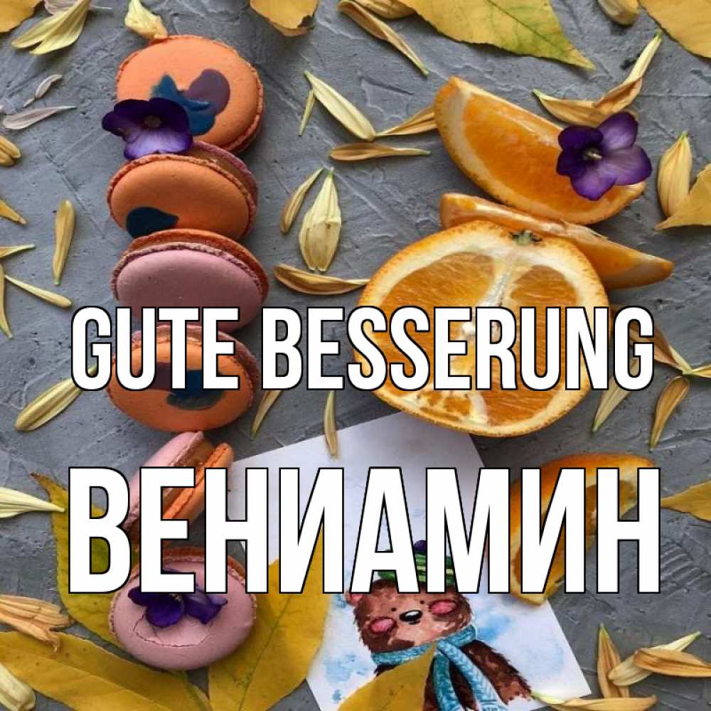 Открытка на каждый день с именем, Вениамин Gute Besserung не болейте Прикольная открытка с пожеланием онлайн скачать бесплатно 