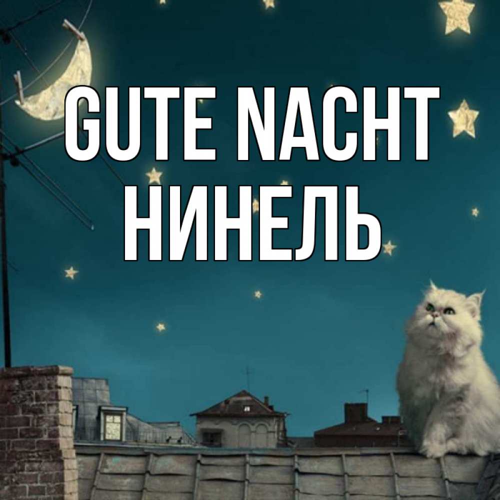 Открытка на каждый день с именем, Нинель Gute Nacht белый кот сидит на крыше Прикольная открытка с пожеланием онлайн скачать бесплатно 