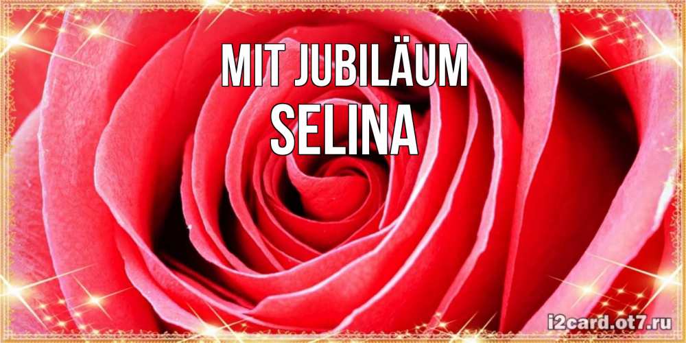 Открытка на каждый день с именем, Selina Mit Jubiläum розовая роза очень крупный бутон Прикольная открытка с пожеланием онлайн скачать бесплатно 