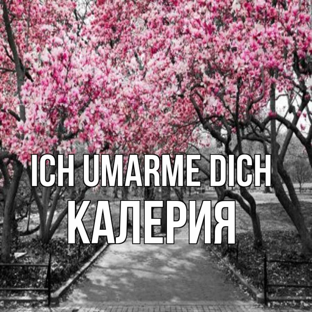 Открытка на каждый день с именем, Калерия Ich umarme dich обработанное фото Прикольная открытка с пожеланием онлайн скачать бесплатно 