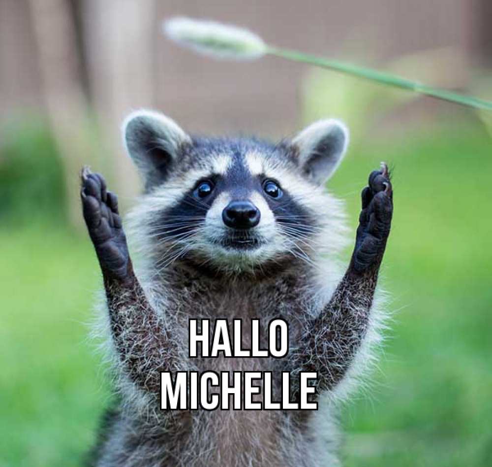 Открытка на каждый день с именем, Michelle Hallo животные Прикольная открытка с пожеланием онлайн скачать бесплатно 