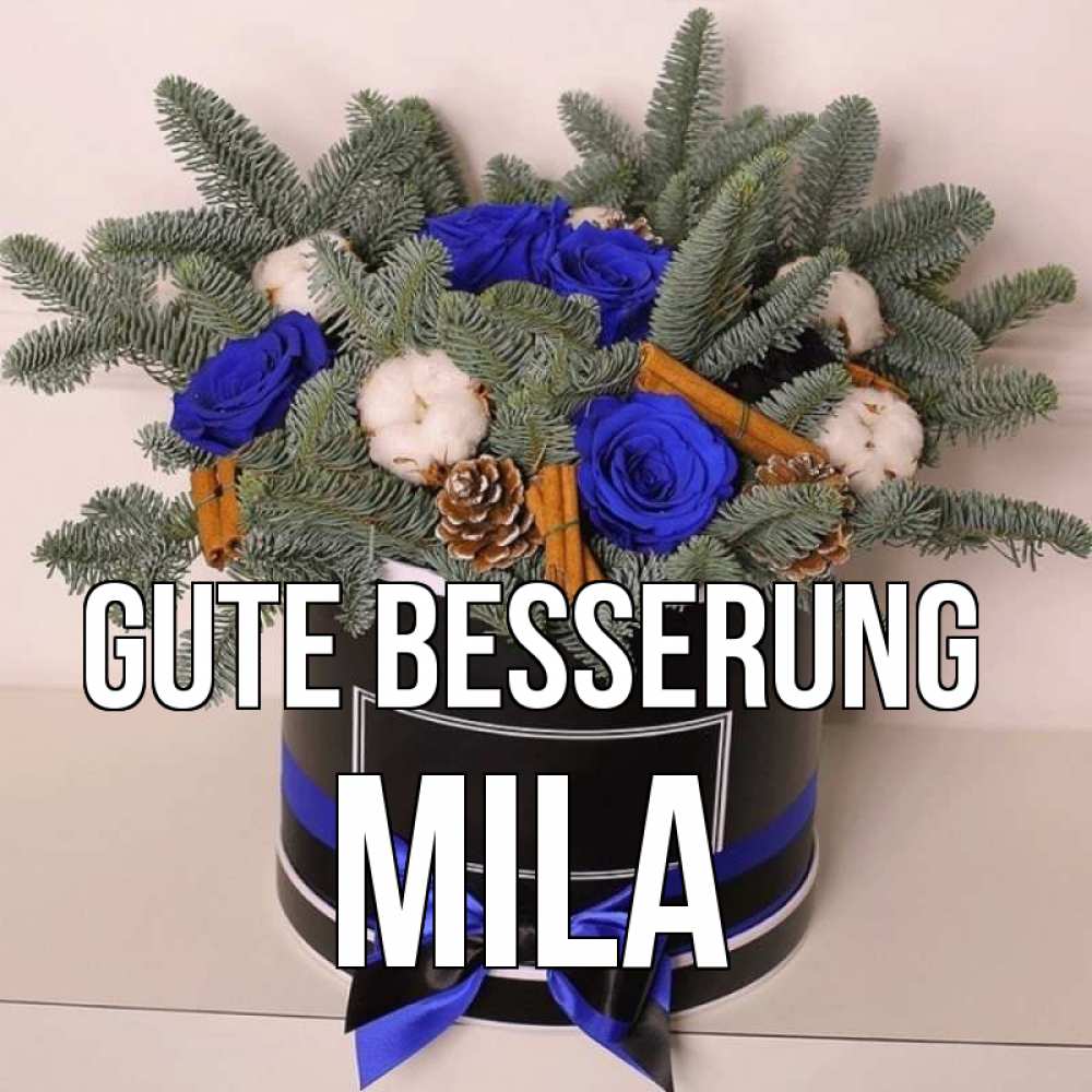 Открытка на каждый день с именем, Mila Gute Besserung короче кто то загрузил эти шишки Прикольная открытка с пожеланием онлайн скачать бесплатно 