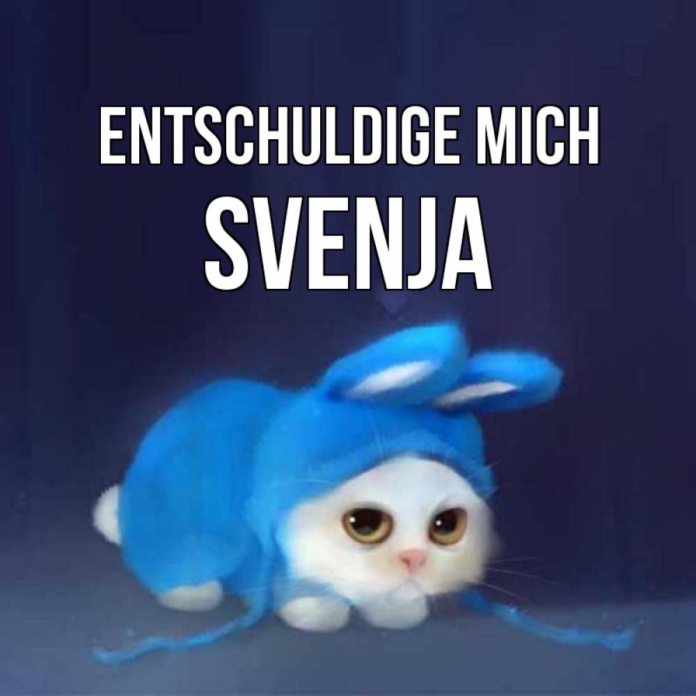 Открытка на каждый день с именем, Svenja Entschuldige mich невинный котозай просит прощения Прикольная открытка с пожеланием онлайн скачать бесплатно 