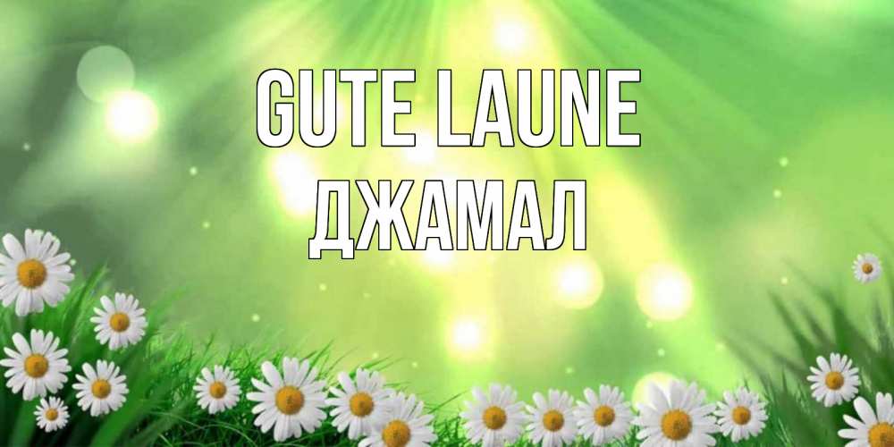 Открытка на каждый день с именем, Джамал Gute Laune открытка с ромашками и солнечными лучами Прикольная открытка с пожеланием онлайн скачать бесплатно 