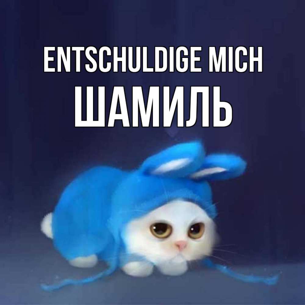 Открытка на каждый день с именем, Шамиль Entschuldige mich невинный котозай просит прощения Прикольная открытка с пожеланием онлайн скачать бесплатно 