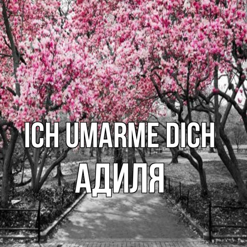 Открытка на каждый день с именем, Адиля Ich umarme dich обработанное фото Прикольная открытка с пожеланием онлайн скачать бесплатно 