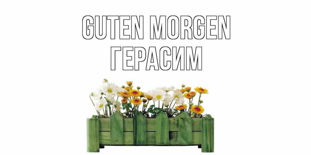 Открытка на каждый день с именем, Герасим Guten Morgen цветы Прикольная открытка с пожеланием онлайн скачать бесплатно 