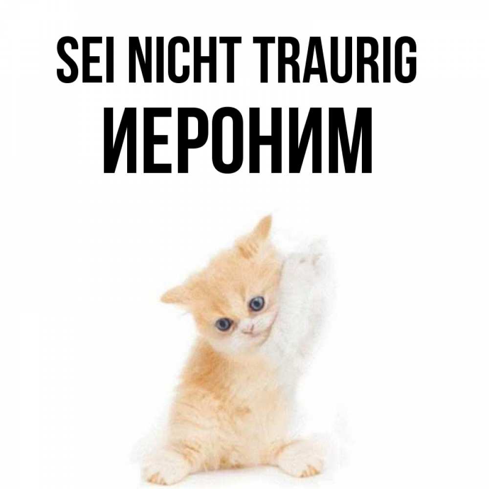 Открытка на каждый день с именем, Иероним Sei nicht traurig просящий кот Прикольная открытка с пожеланием онлайн скачать бесплатно 
