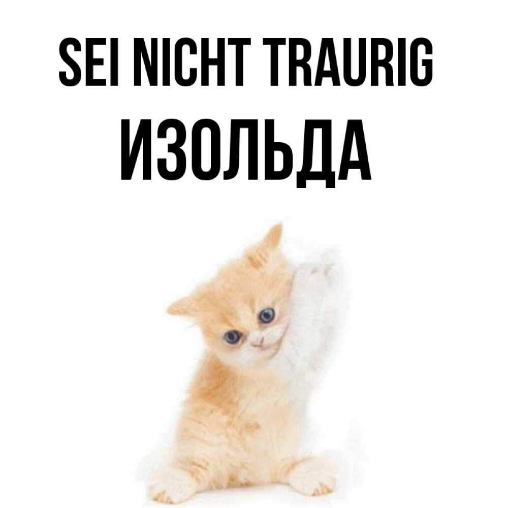 Открытка на каждый день с именем, Изольда Sei nicht traurig просящий кот Прикольная открытка с пожеланием онлайн скачать бесплатно 