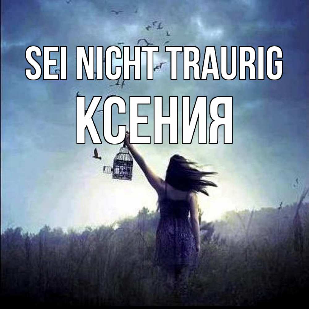 Открытка на каждый день с именем, Ксения Sei nicht traurig на волю Прикольная открытка с пожеланием онлайн скачать бесплатно 