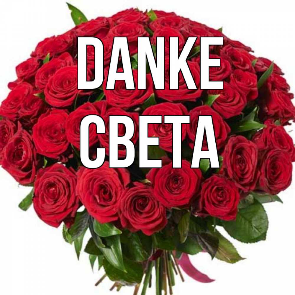 Открытка на каждый день с именем, Света Danke букет красных роз Прикольная открытка с пожеланием онлайн скачать бесплатно 