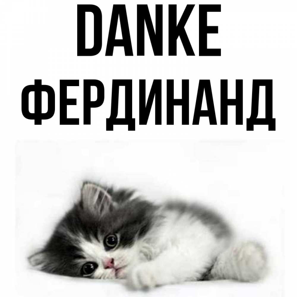 Открытка на каждый день с именем, Фердинанд Danke черный и белый кот Прикольная открытка с пожеланием онлайн скачать бесплатно 